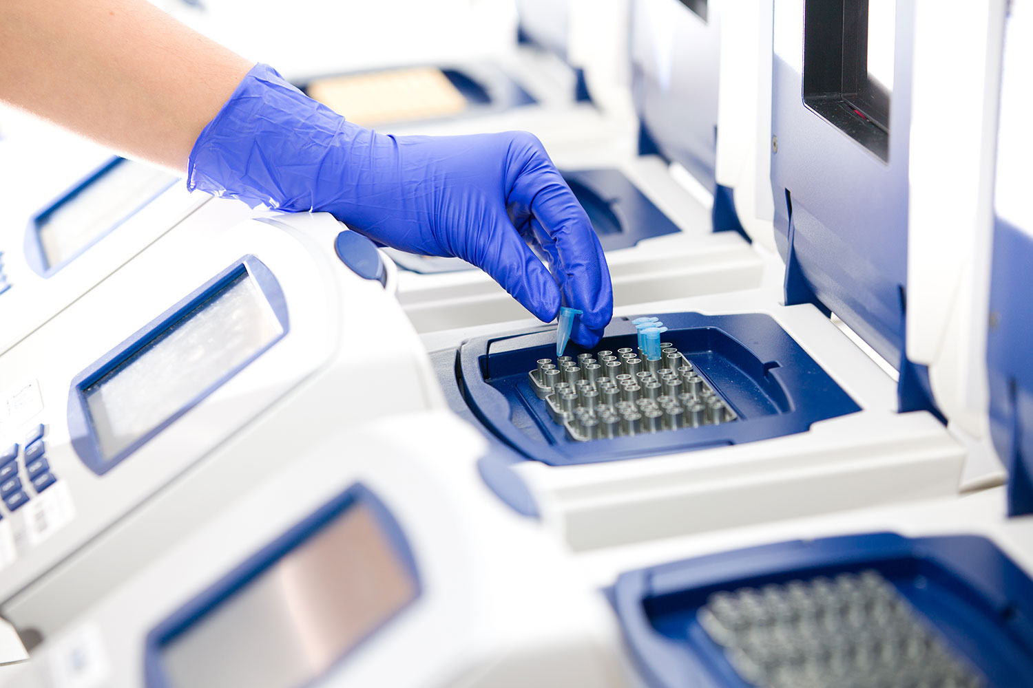 The Steps Of the PCR Process